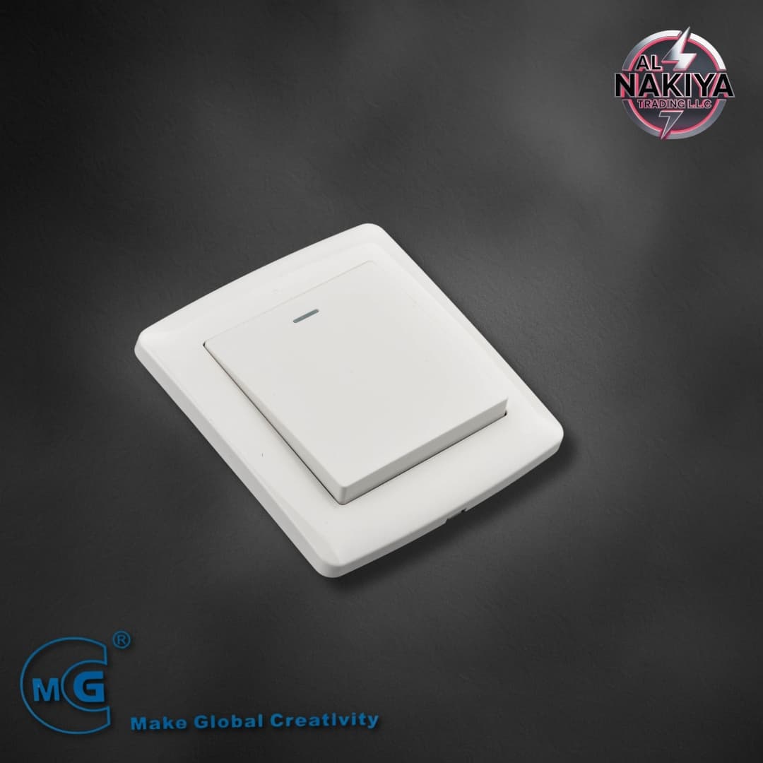 1G 1 WAY SWITCH